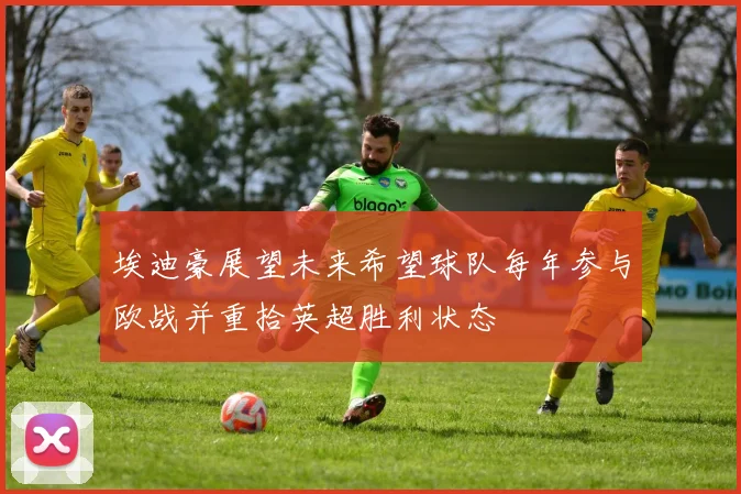 埃迪豪展望未来希望球队每年参与欧战并重拾英超胜利状态