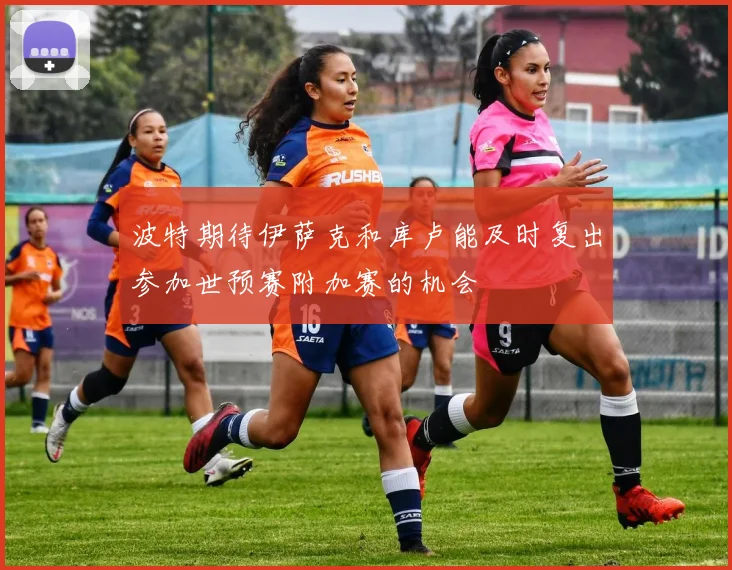 波特期待伊萨克和库卢能及时复出参加世预赛附加赛的机会