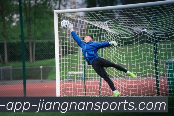 江南体育APP 封面图